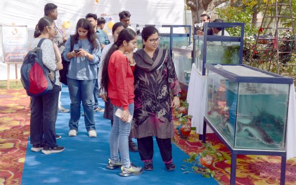 Visitors witnessing different displays